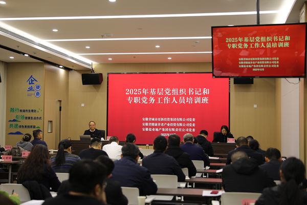 省城市更新集團(tuán)等三家公司舉辦2025年基層黨組織書(shū)記和專職黨務(wù)工作人員培訓(xùn)班
