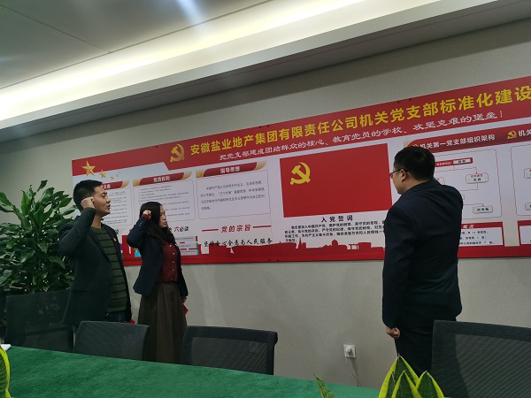 安徽鹽業(yè)地產(chǎn)集團(tuán)機(jī)關(guān)第一黨支部開展“佩黨徽、誦誓詞、贈黨章、上黨課”黨員教育活動