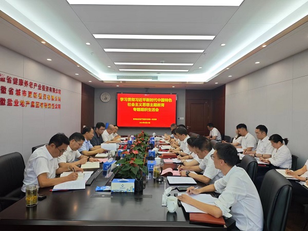 安徽鹽業(yè)地產(chǎn)集團(tuán)本部第一黨支部召開主題教育專題組織生活會(huì)